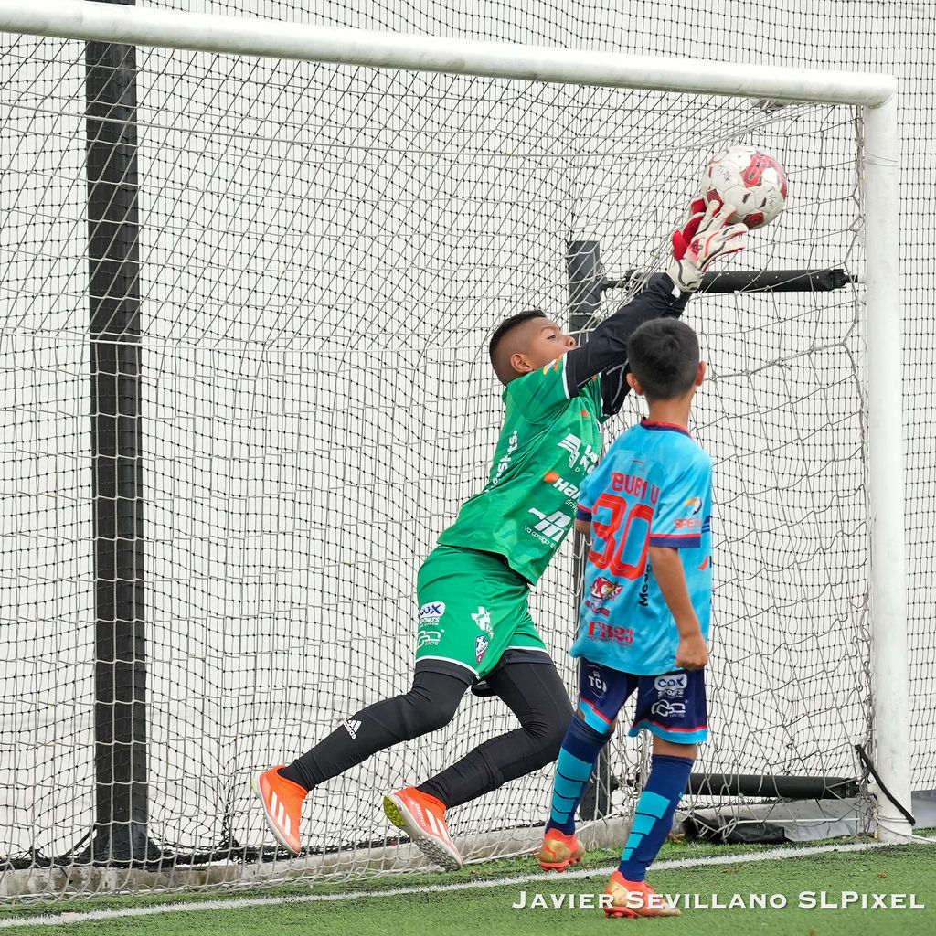 Academia Bagoso - TIAF — 12