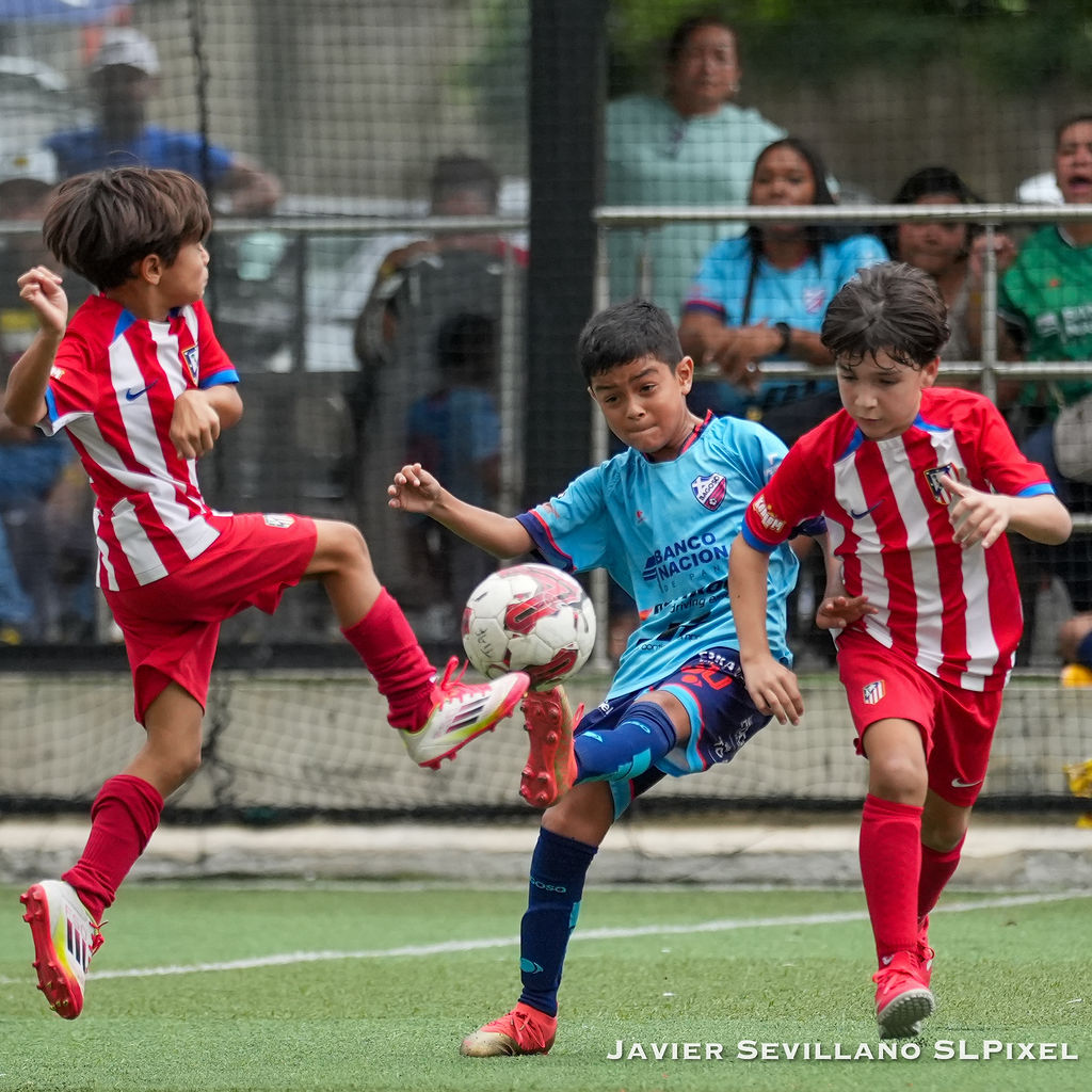 Academia Bagoso - TIAF — 29