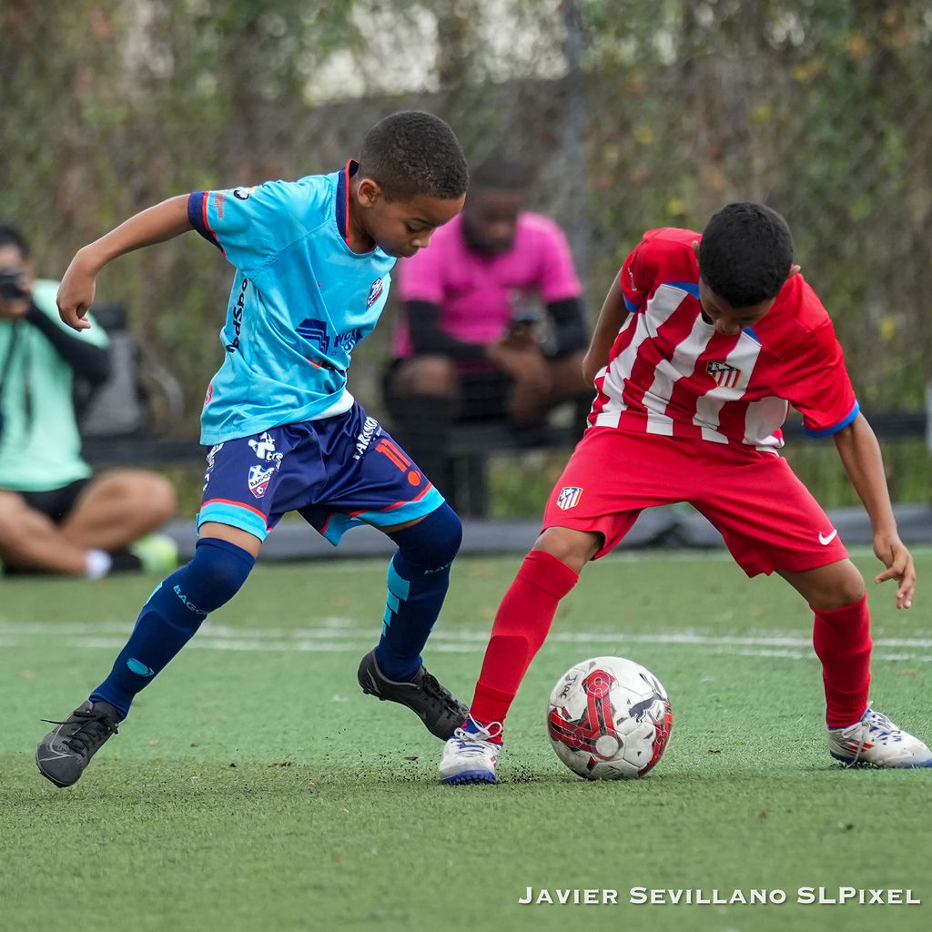 Academia Bagoso - TIAF — 11