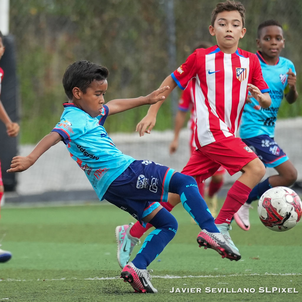 Academia Bagoso - TIAF — 4