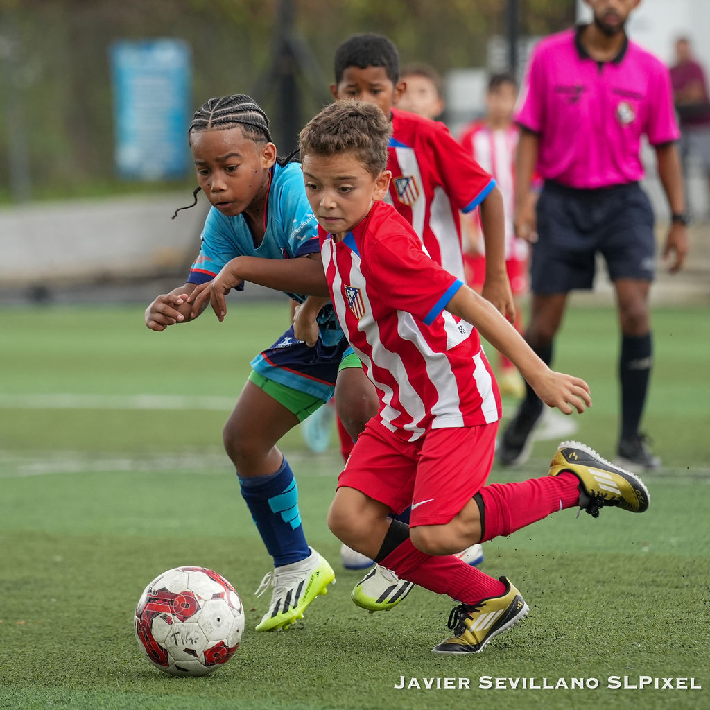 Academia Bagoso - TIAF — 8