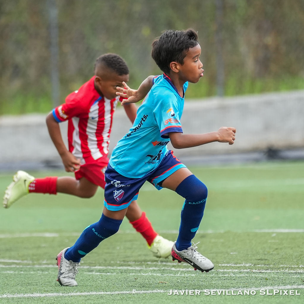 Academia Bagoso - TIAF — 15