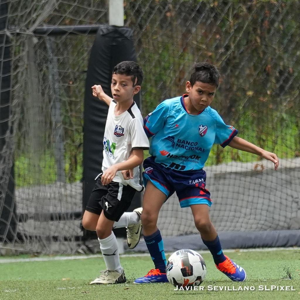 Academia Bagoso - TIAF — 41