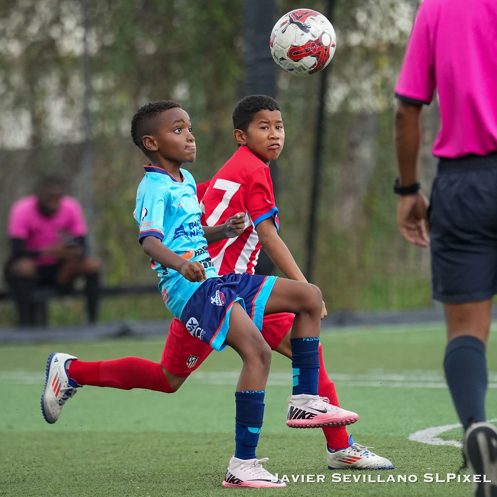 Academia Bagoso - TIAF — 5