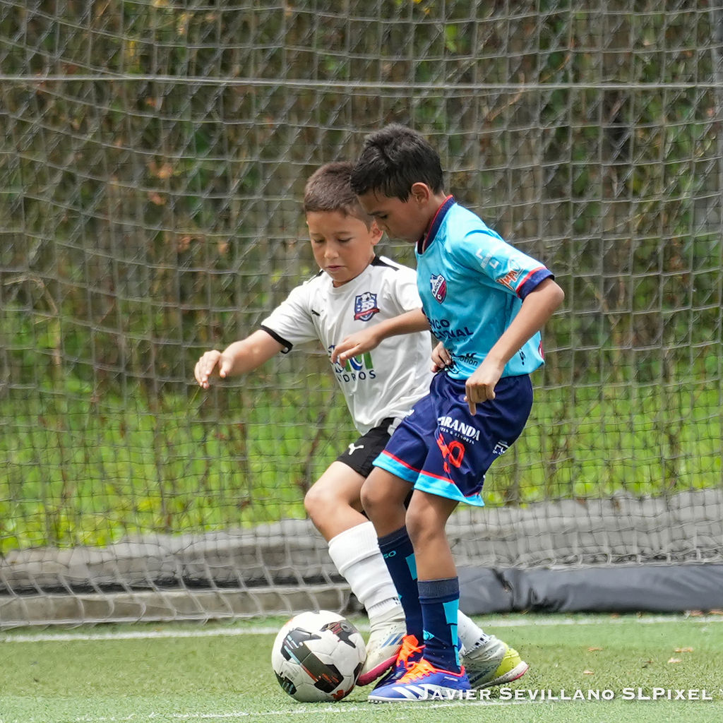 Academia Bagoso - TIAF — 50