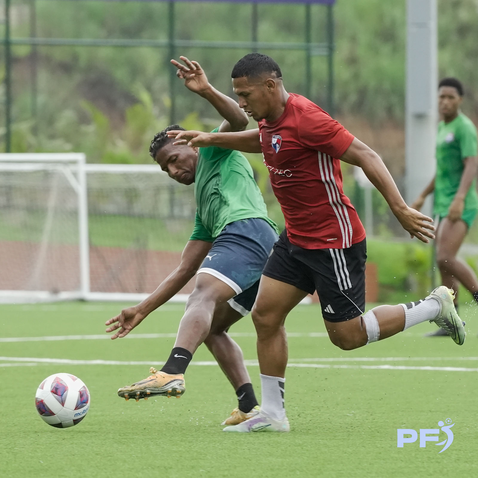 Amistoso Panama City vs Potros del Este — 13