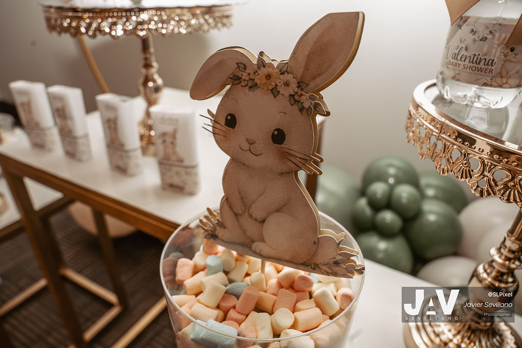 BABY SHOWER MALDONADO CASTAÑEDA — 19