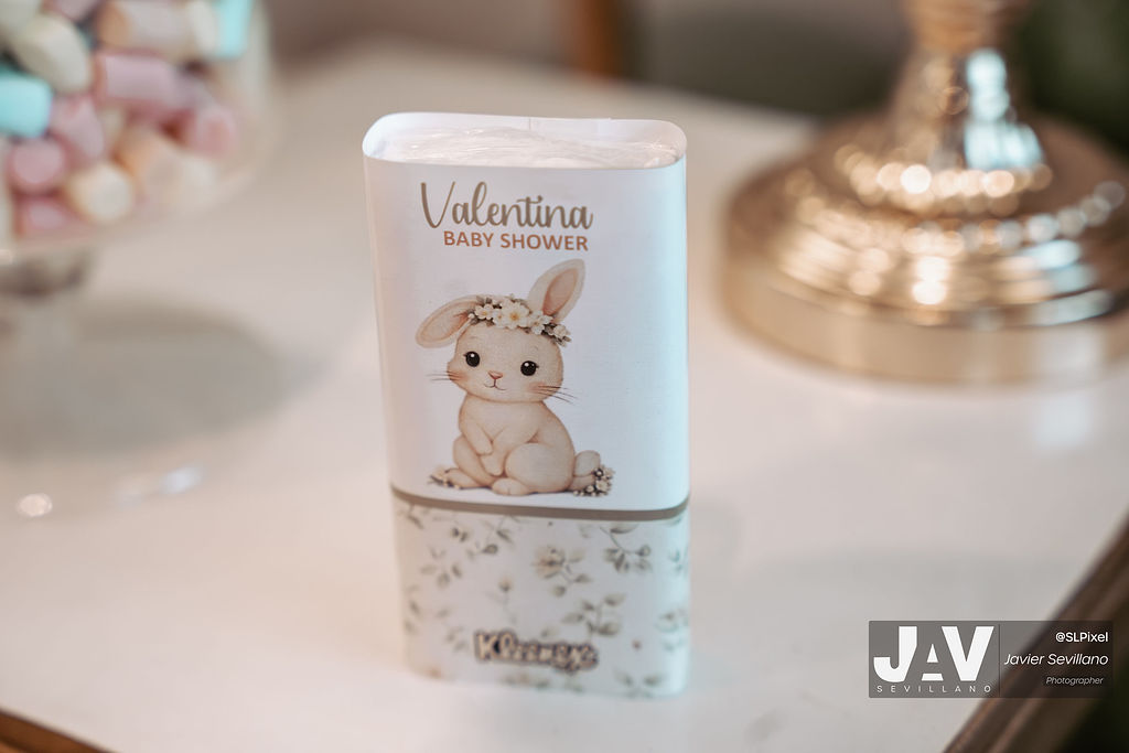 BABY SHOWER MALDONADO CASTAÑEDA — 2