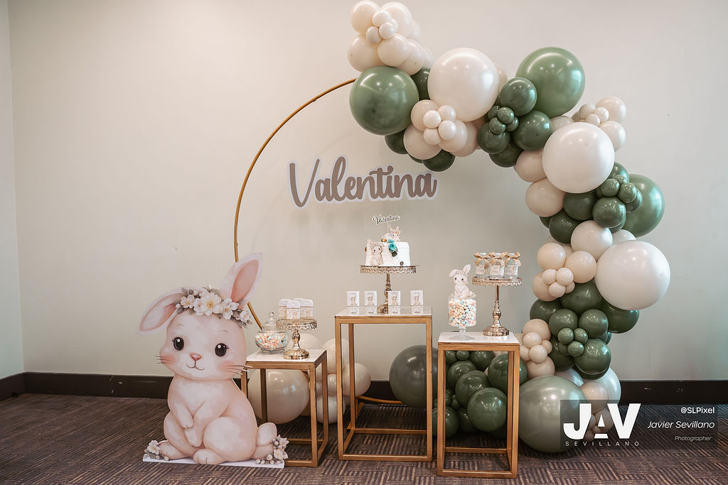 BABY SHOWER MALDONADO CASTAÑEDA — 5