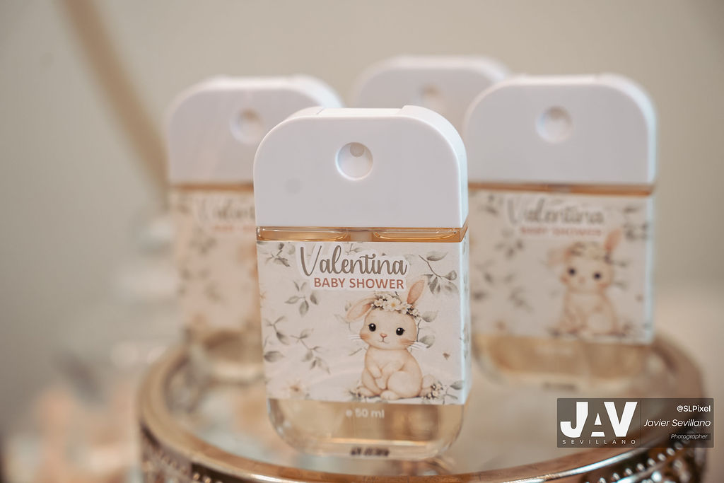 BABY SHOWER MALDONADO CASTAÑEDA — 3