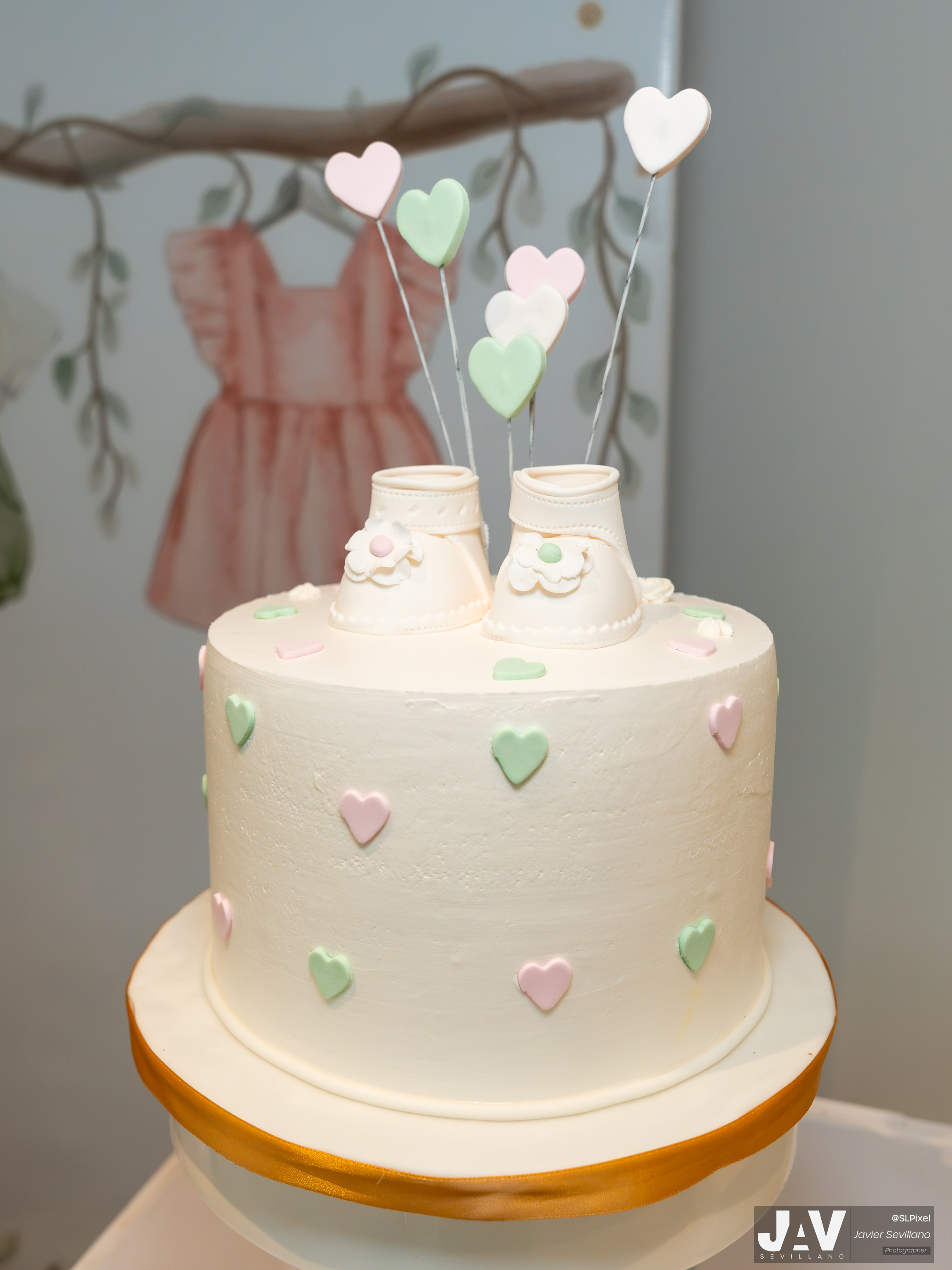 GENDER REVEAL MICHELLE Y NACHO — 189