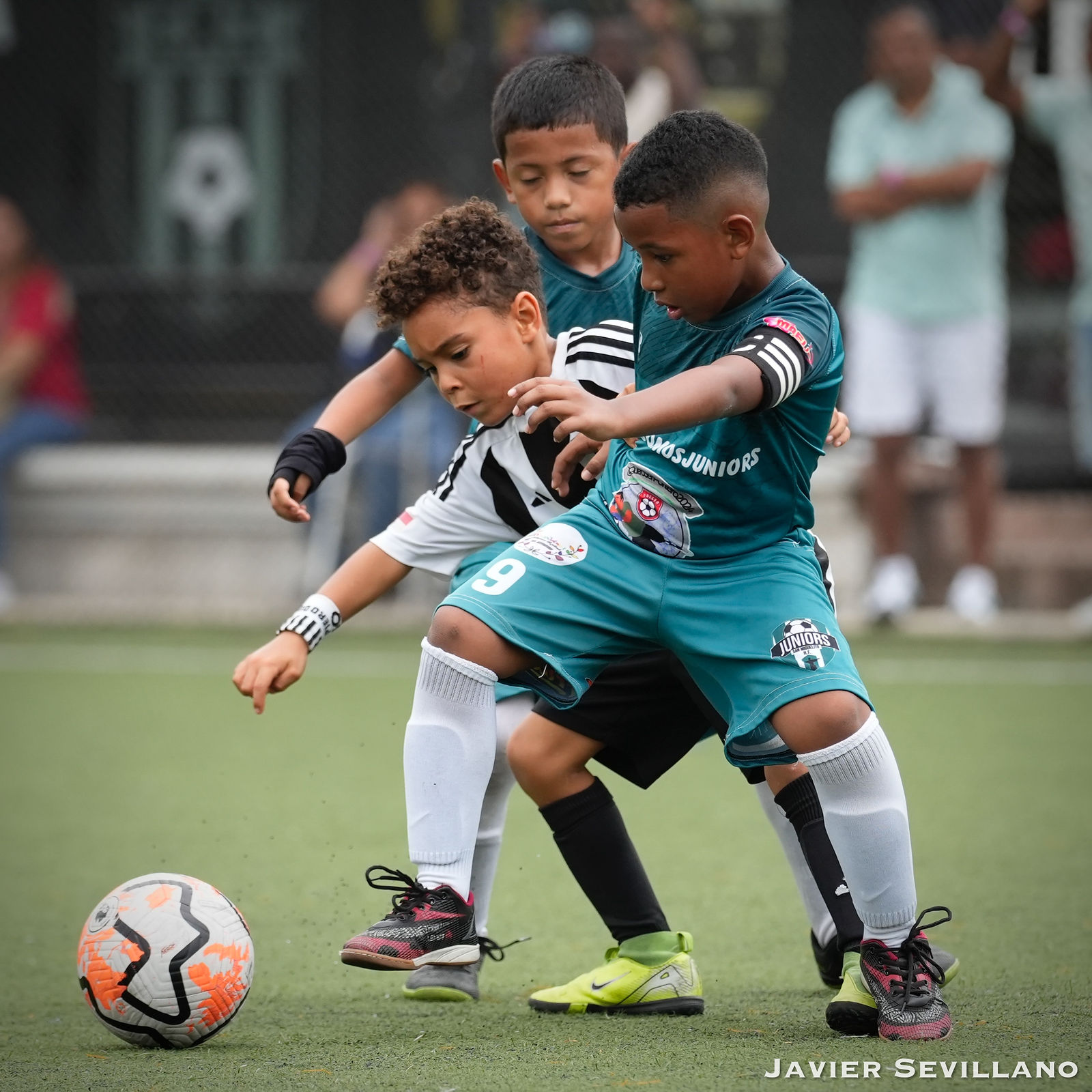 Grupo PRO — 20